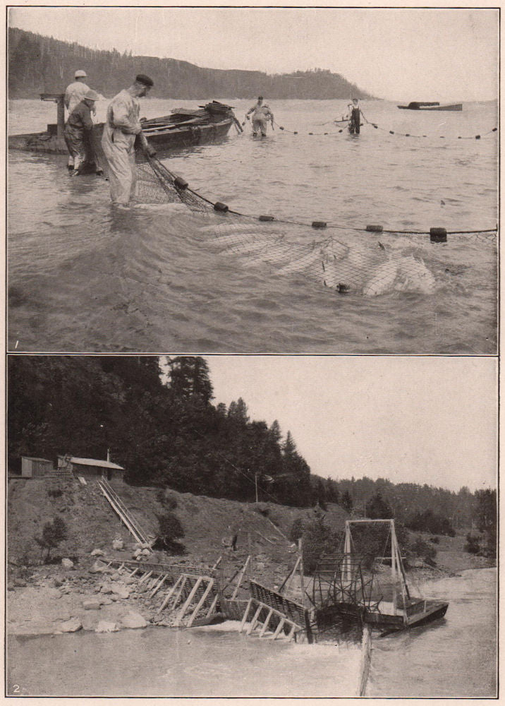 Columbia River. Salmon seining. Fish wheel at Cascades. Washington 1903 print